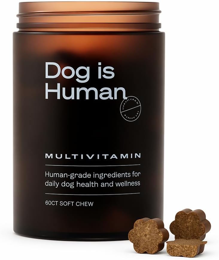 A dark amber-brown bottle of 'Dog is Human' Multivitamin dog supplements with three flower-shaped brown soft chews displayed in the foreground on a white background.