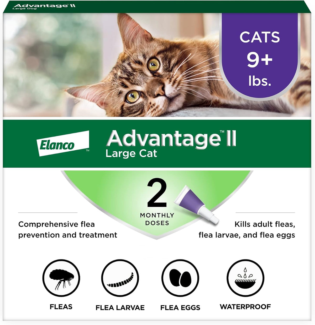 Advantage II Large Cat flea treatment, 2 monthly doses for cats 9+ lb, in a green and white box featuring a tabby cat
