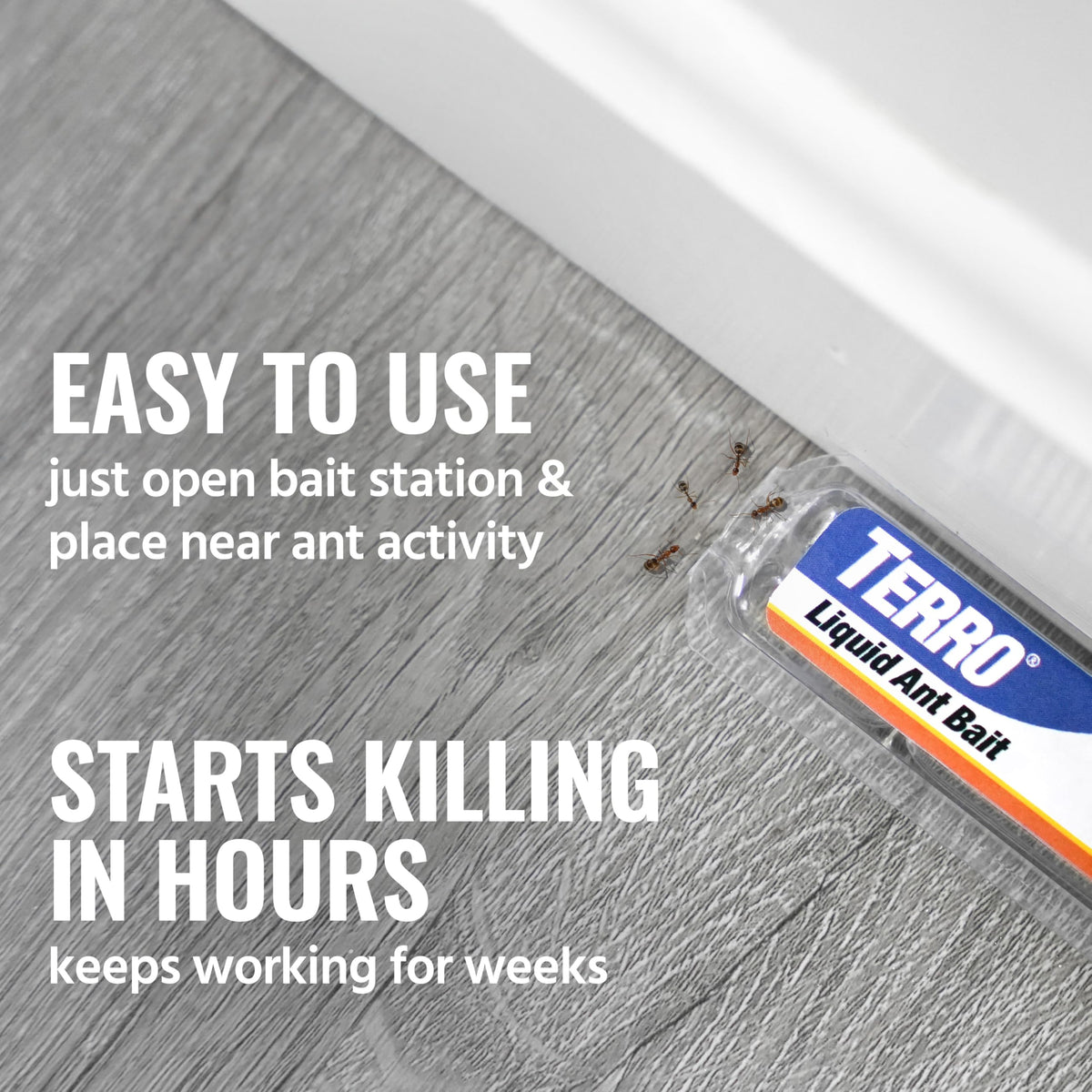 Terro, Ant Killer Bait Stations T300B - Liquid Bait to Eliminate Ants - Bait System - Stations for Effective Indoor Ant Control, 12 Count