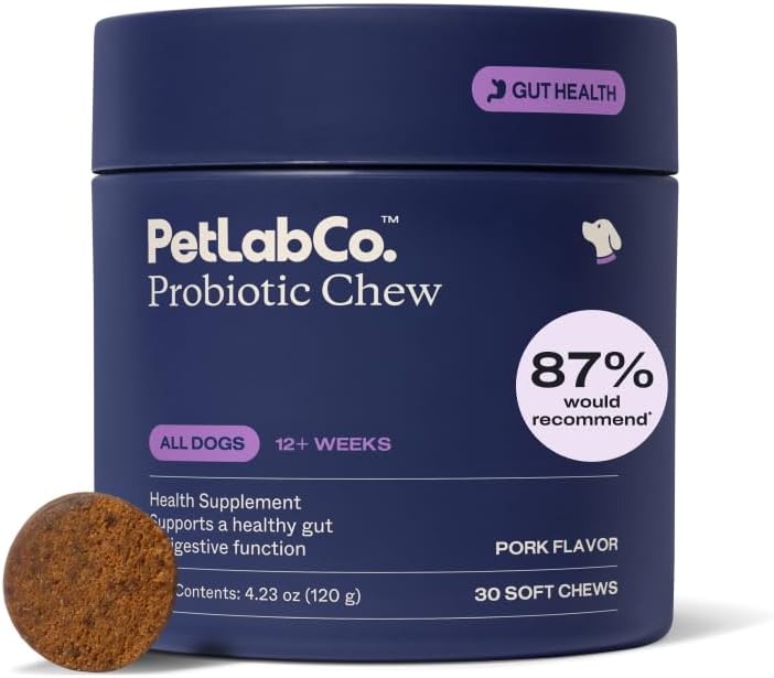 PetLab Co. Probiotic Chew, pork flavor, navy tub of 30 soft chews with one brown chew in front